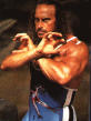 Wolf from Gladiators